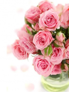 <b>粉玫瑰的花语是什么？（初恋）</b>
